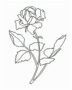 250x312 How To Sand Carve A Rose In Glass