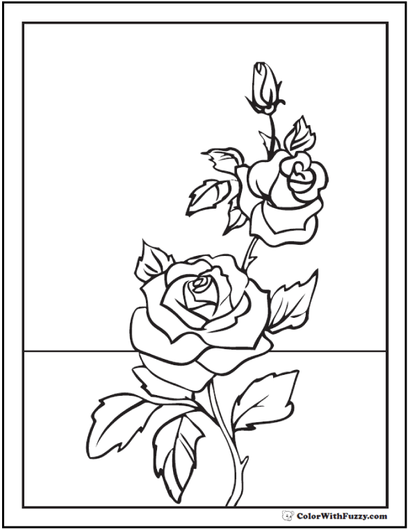 590x762 Rose Coloring Pages Customize Pdf Printables