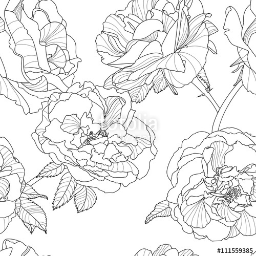 500x500 Vector Floral Seamless Pattern. Black And White Background
