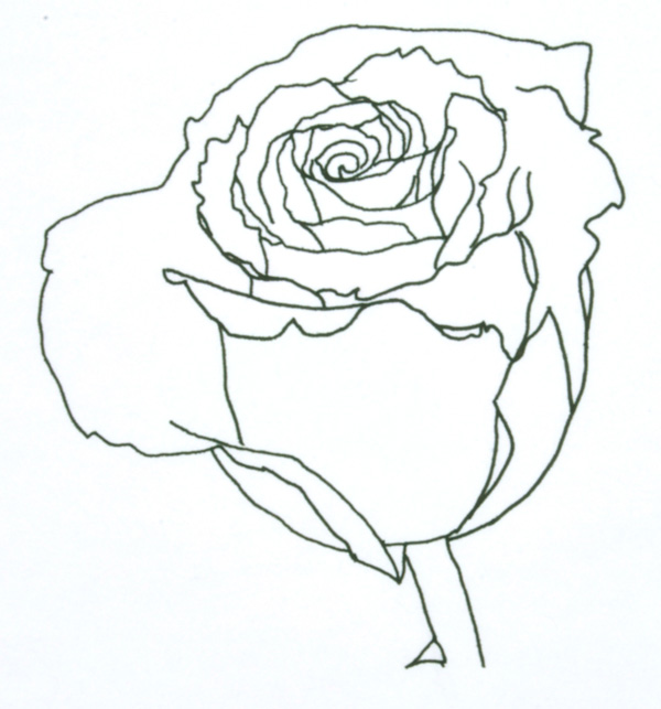 Rose Pen Drawing at GetDrawings | Free download