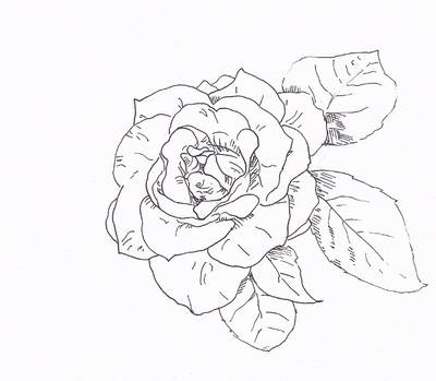 400x349 T{He Art} Draw A Rose With Fiber Tip Pen