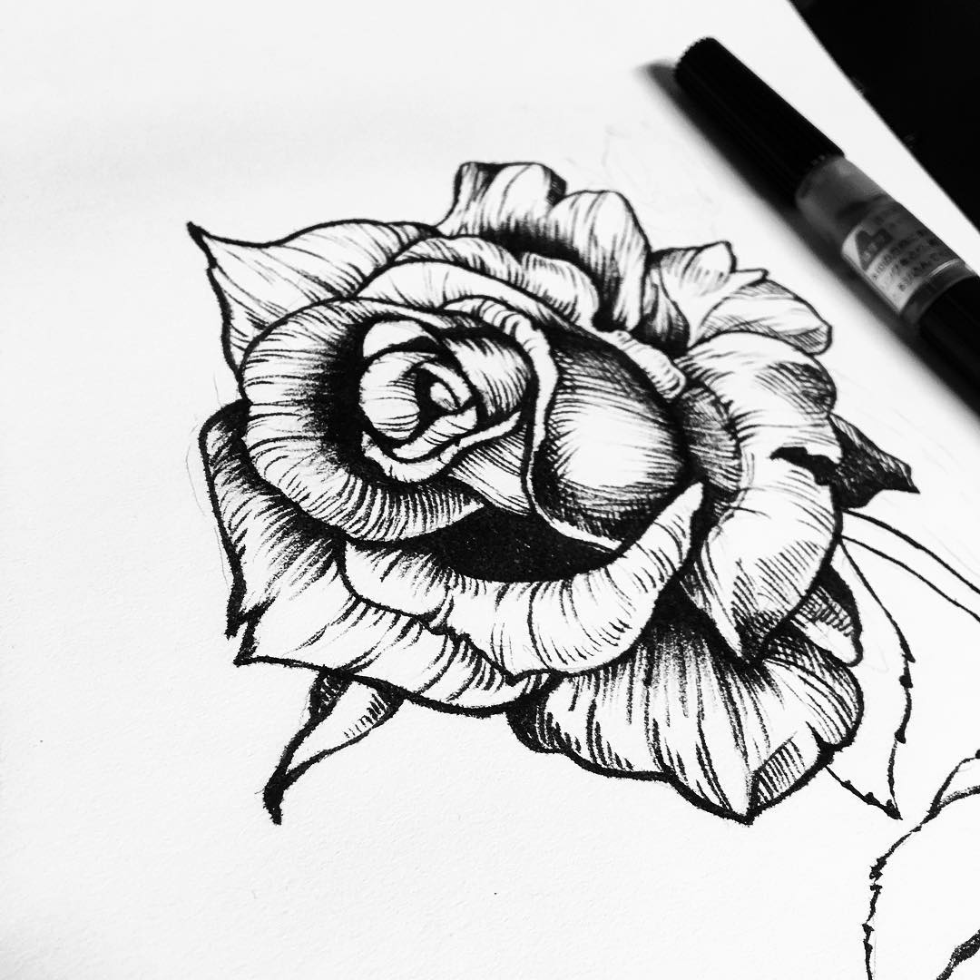 Rose Pen Drawing at GetDrawings | Free download