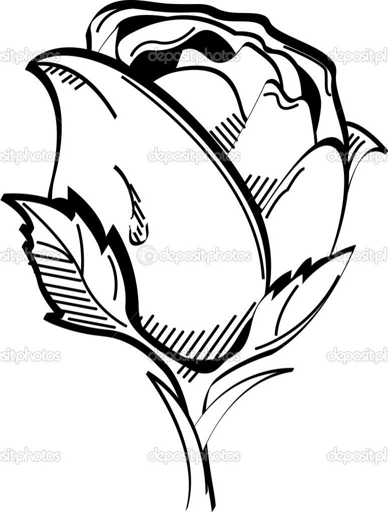 775x1024 Black And White Rose Sketches Bouquet Of Flowers Pencil Drawing