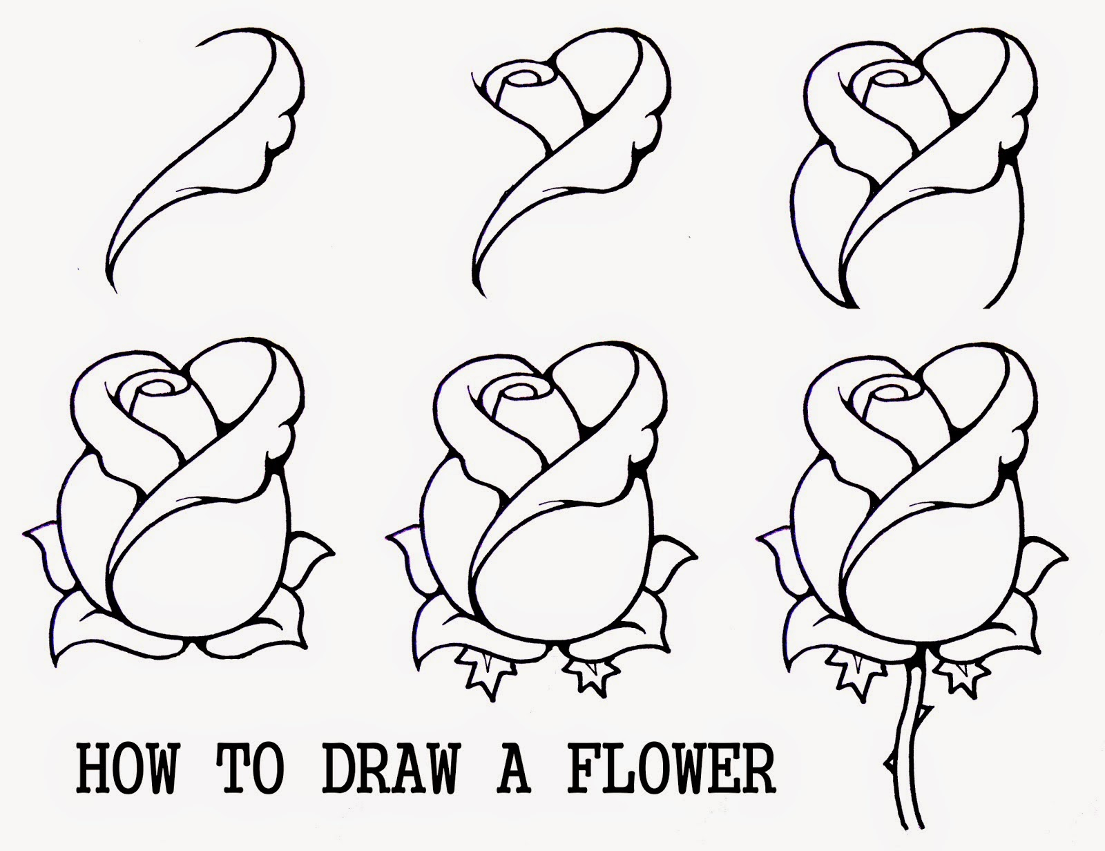 1600x1232 Rose Pencil Drawing Step By Step