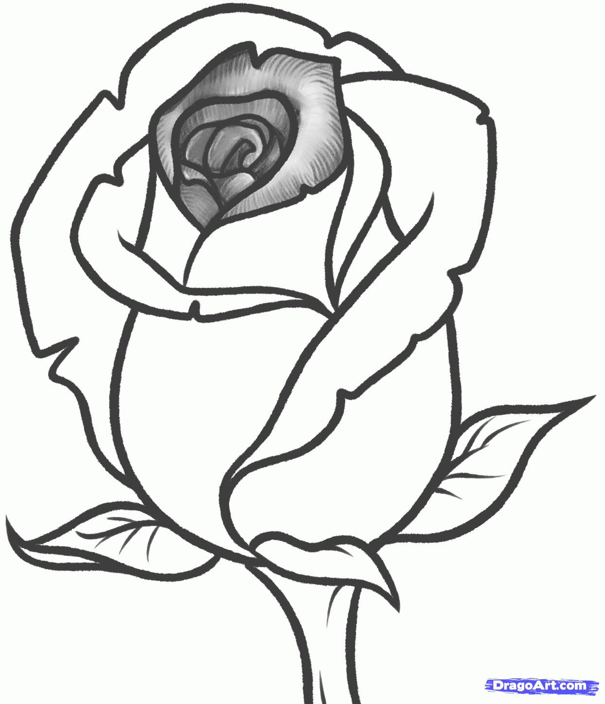 1244x1446 Just Simple Blog How To Draw A Rose Bud