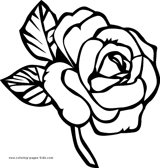 534x563 Flower Page Printable Coloring Sheets Page, Flowers Coloring