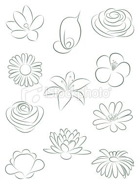 285x380 Set Of Flowers. Vector Illustration. Drawing Flowers, Drawings
