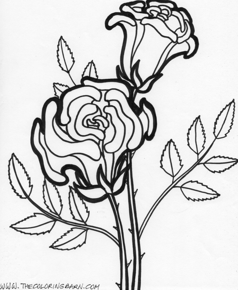1000x1216 Flower Page Printable Coloring Sheets Flower Printable Coloring