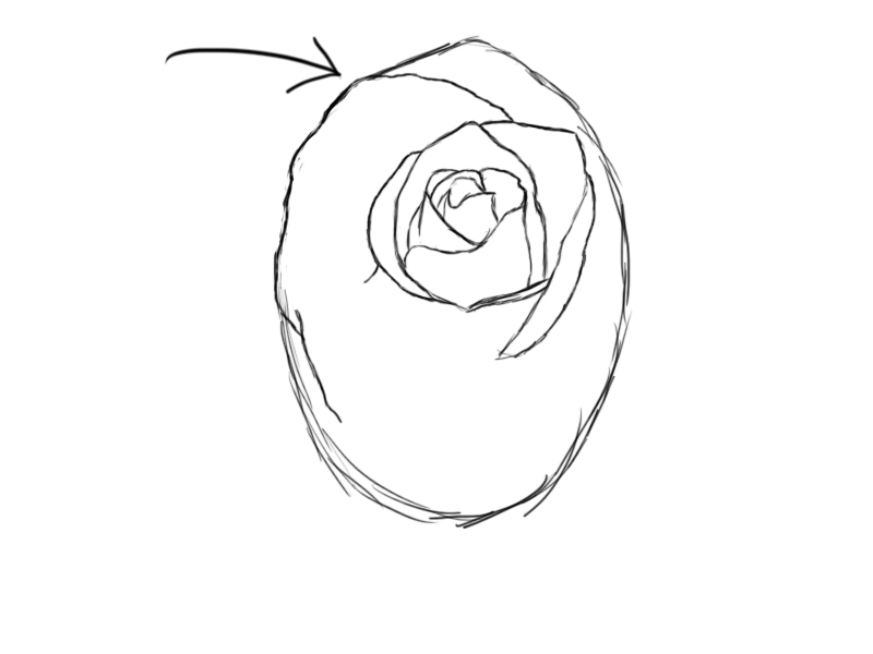 800x600 How To Draw A Rose