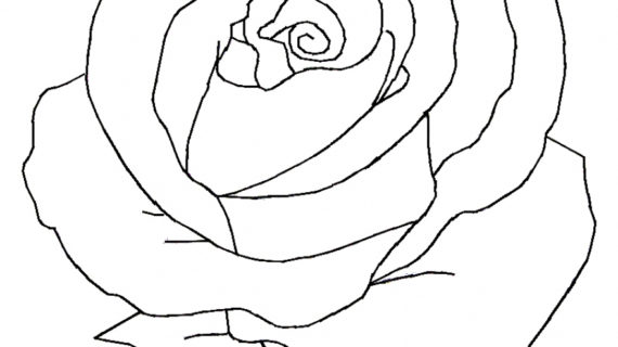 570x320 Rose Drawing Black And White Black And White Drawings Of Roses