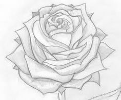 236x196 Pencil Drawings This Is My First Attempt