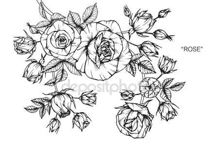 449x299 Roses Flower Drawing Sketch Black White Line Art Stock Vector