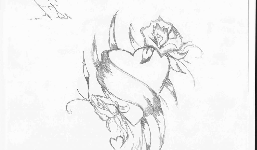 1024x600 The Images Collection Of Tribal He Pencil Sketches Hes Rose