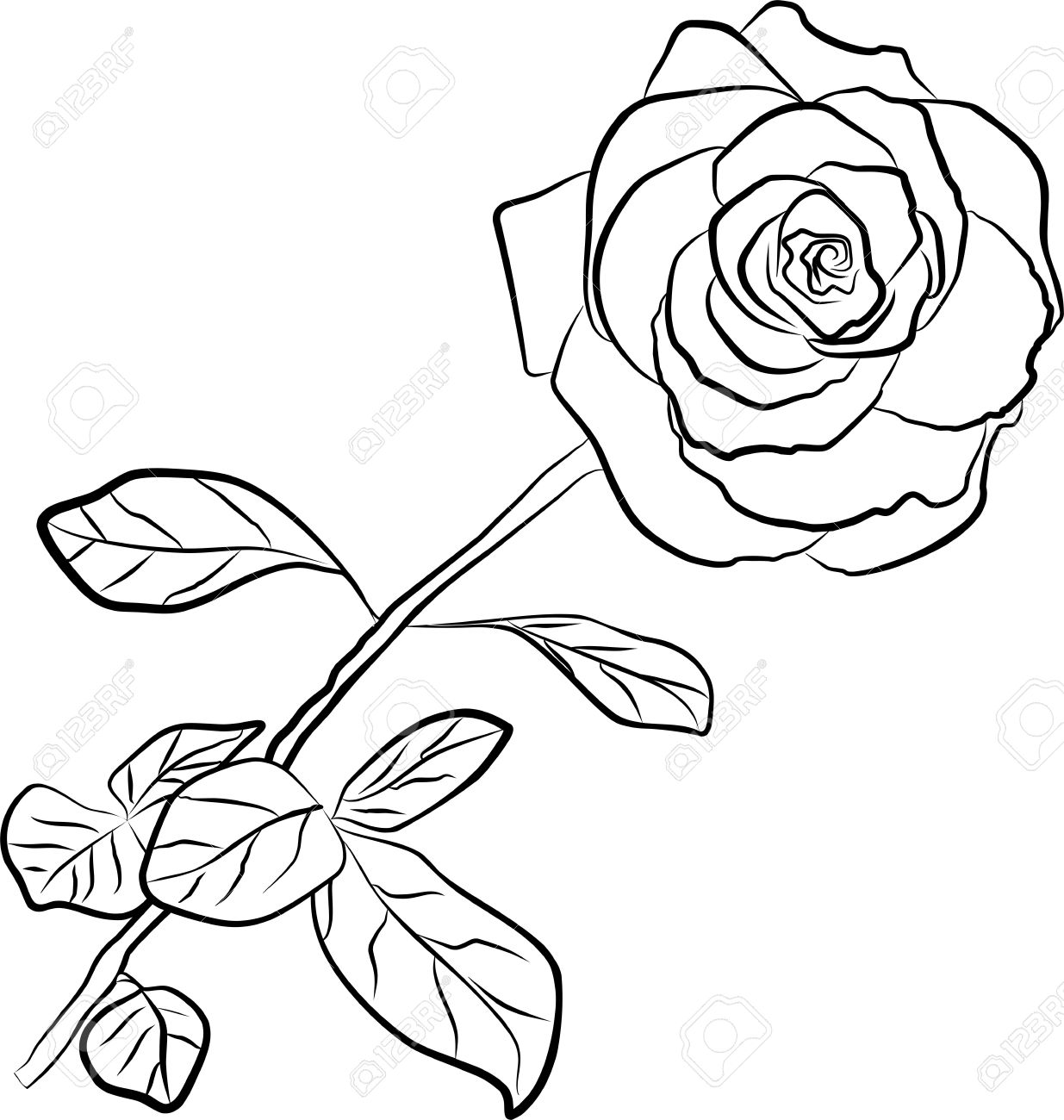 1235x1300 Knumathise Rose Clip Art Outline Images