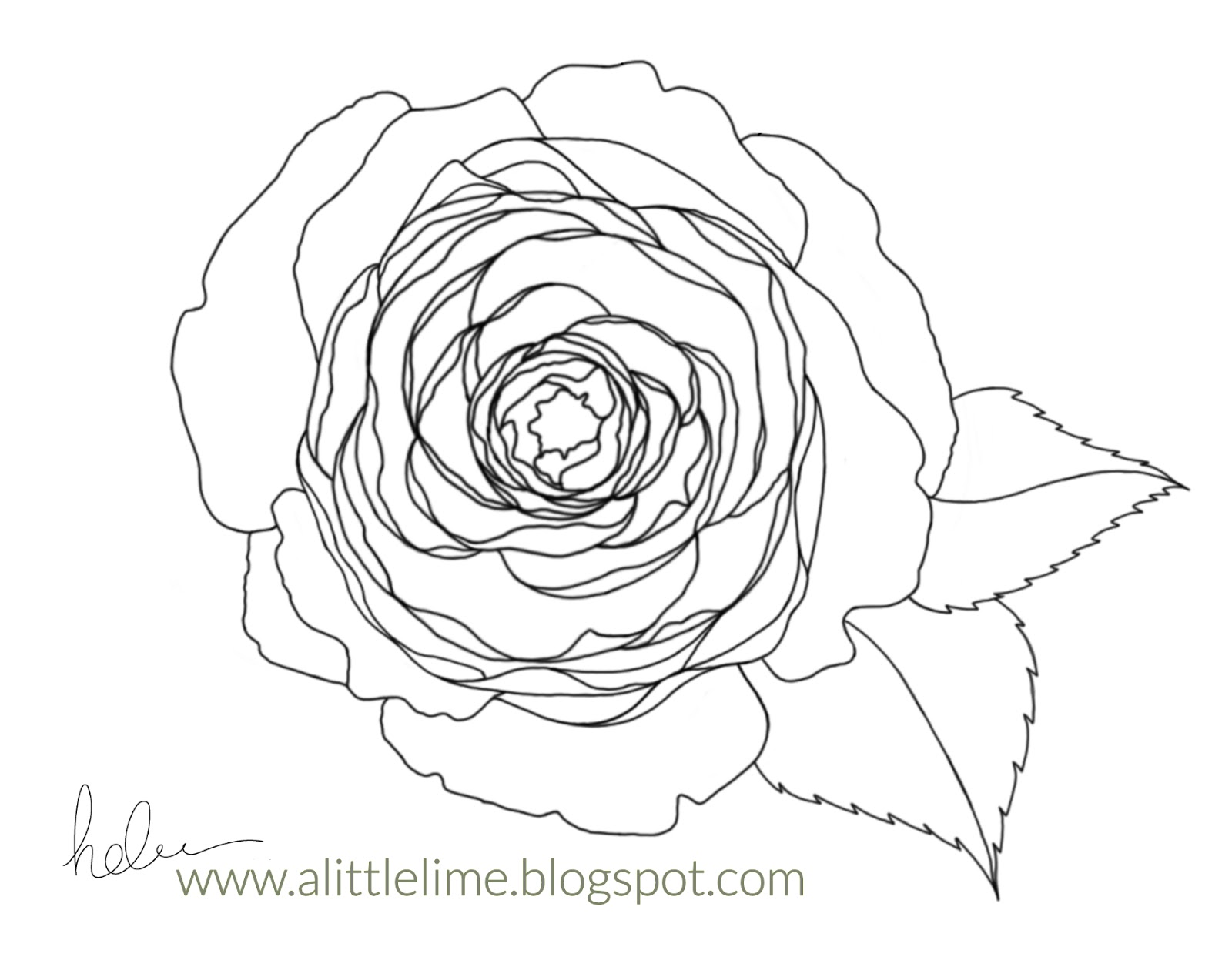 1600x1256 Wrapped Rose Tangle Pattern And Video