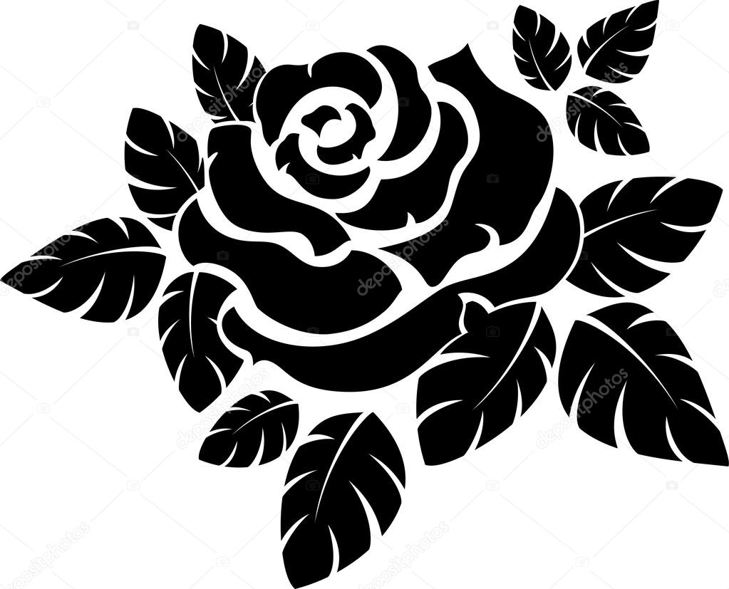 1023x827 Rose Silhouette