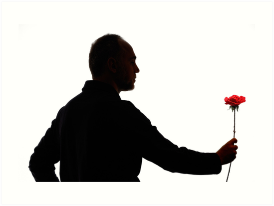 549x413 Silhouette Of Mature Man Holding Rose Art Prints By Sami Sarkis