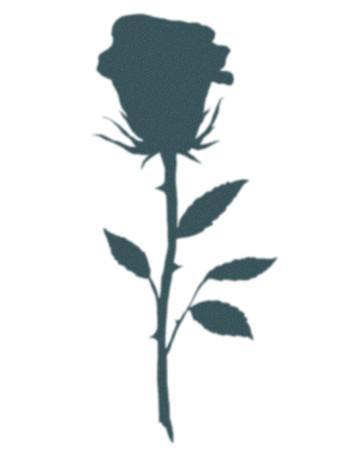 350x450 Tattooed Now! Rose Silhouette