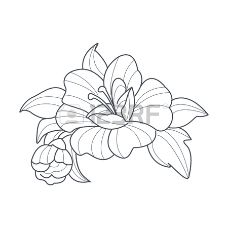 450x450 Rose Flower Monochrome Drawing For Coloring Book Hand Drawn Vector