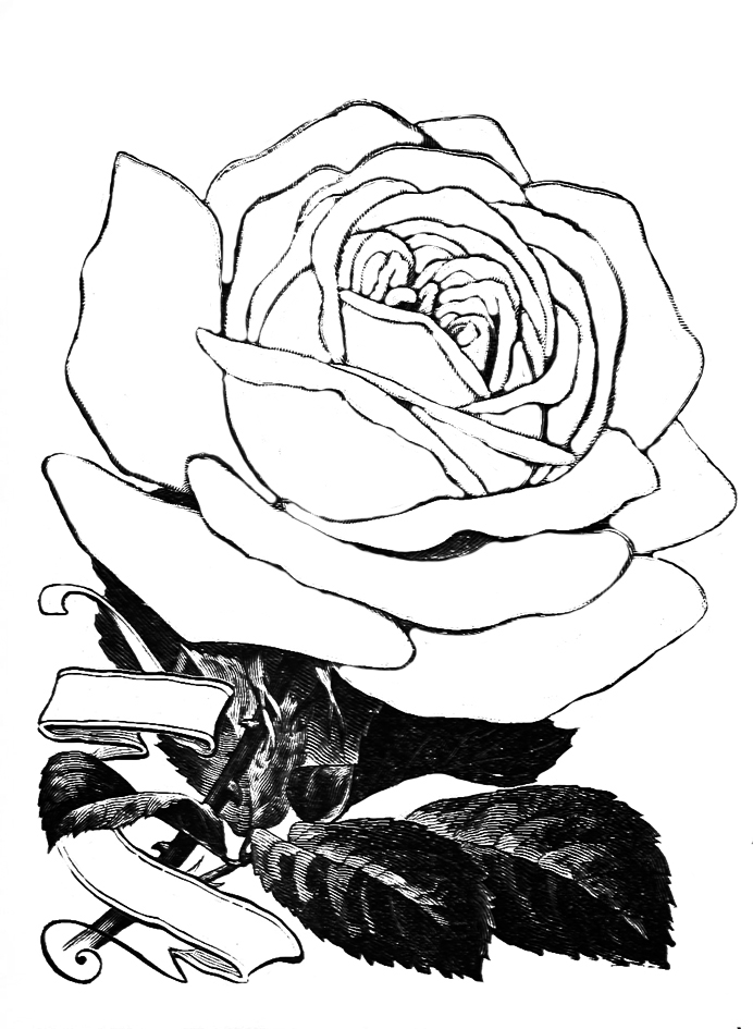692x945 Flower Coloring Pages