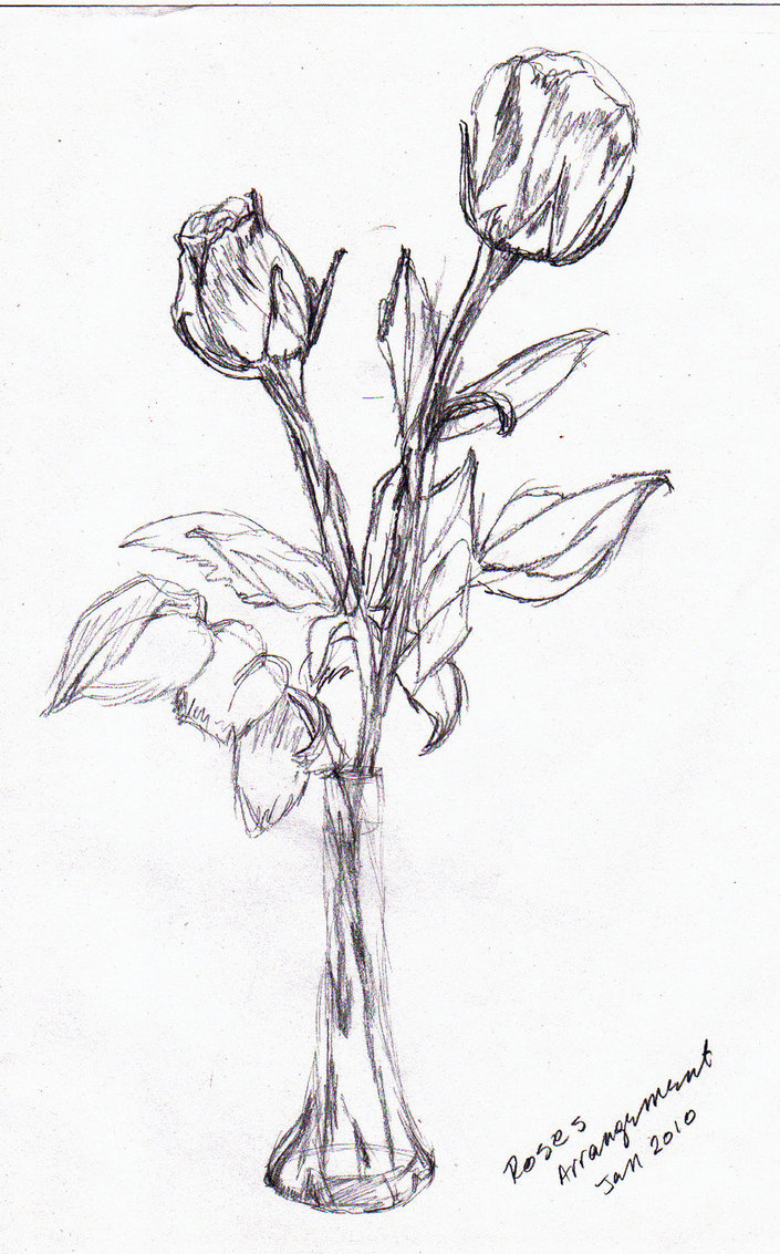 705x1133 Roses Sketch By Jadisofeternity
