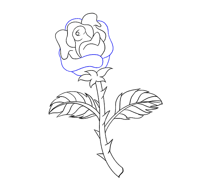 678x600 How To Draw A Rose In A Few Easy Steps Easy Drawing Guides