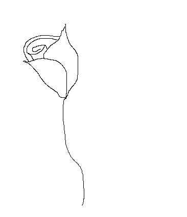 366x426 Pencil Drawings Of Roses, Altered Rose Art, And Rose Sketches