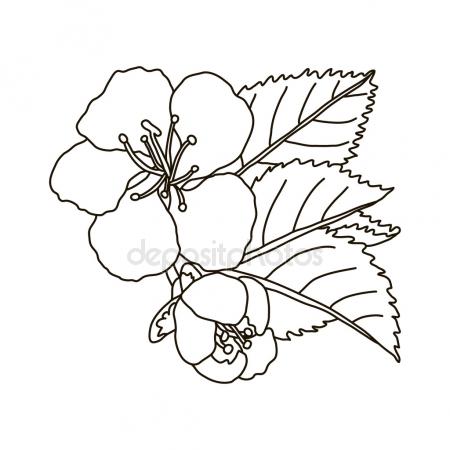 450x450 Flower Rose, Sketch, Painting. Hand Drawing. White Bud, Petals