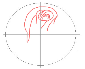 300x244 How To Draw A Rose Bud