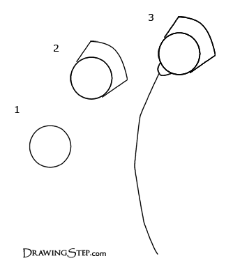 334x400 How To Draw Roses