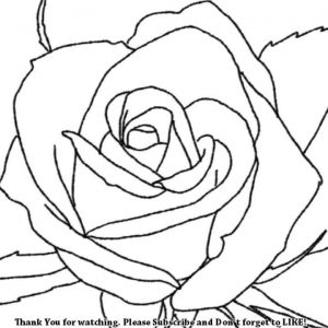 300x300 Adult Easy Rose To Draw Tudor Rose Easy To Draw. Easy Rose To Draw