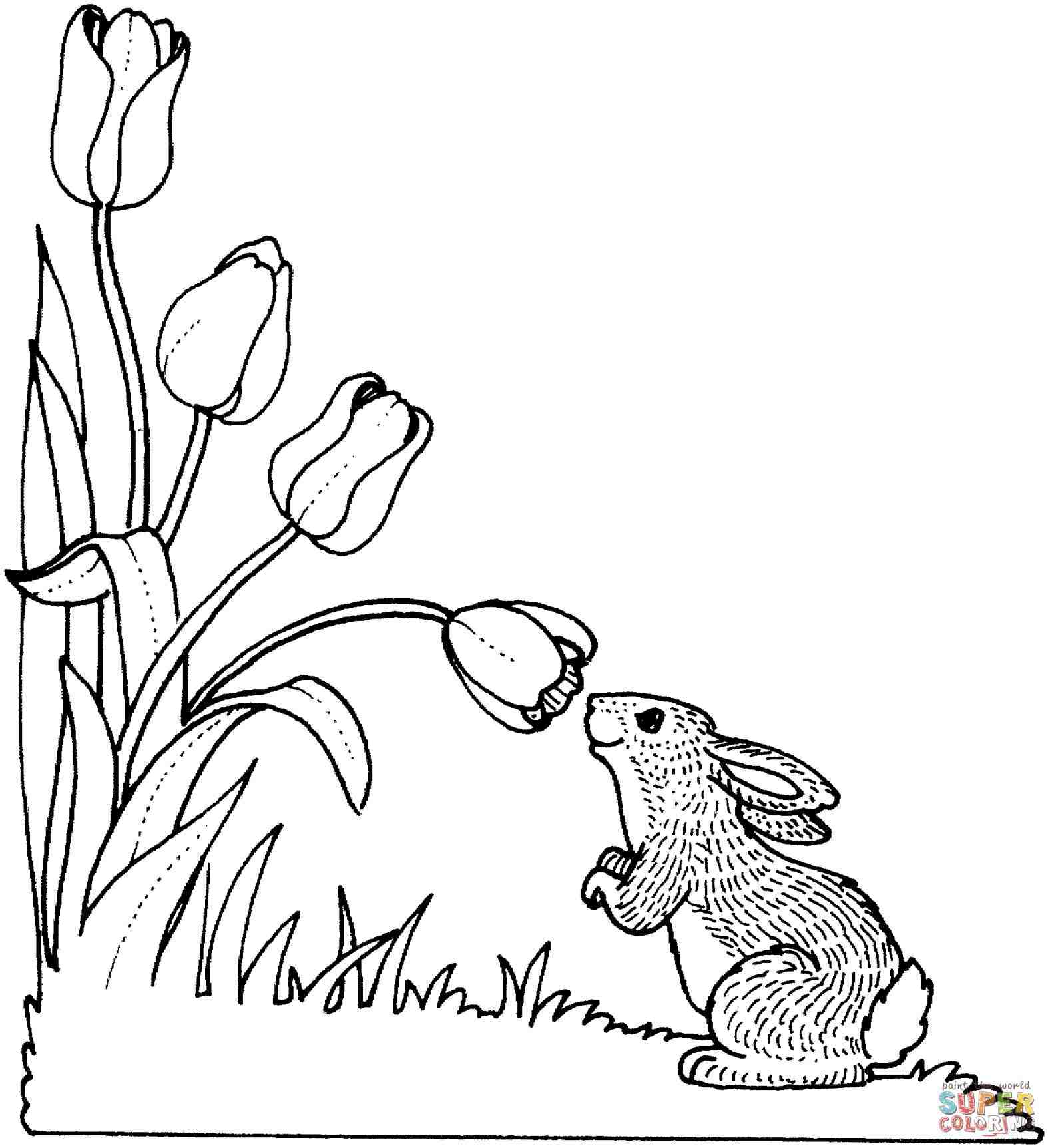 1574x1725 How Tulip Drawings Easy To Draw A Rose Step By For Beginners