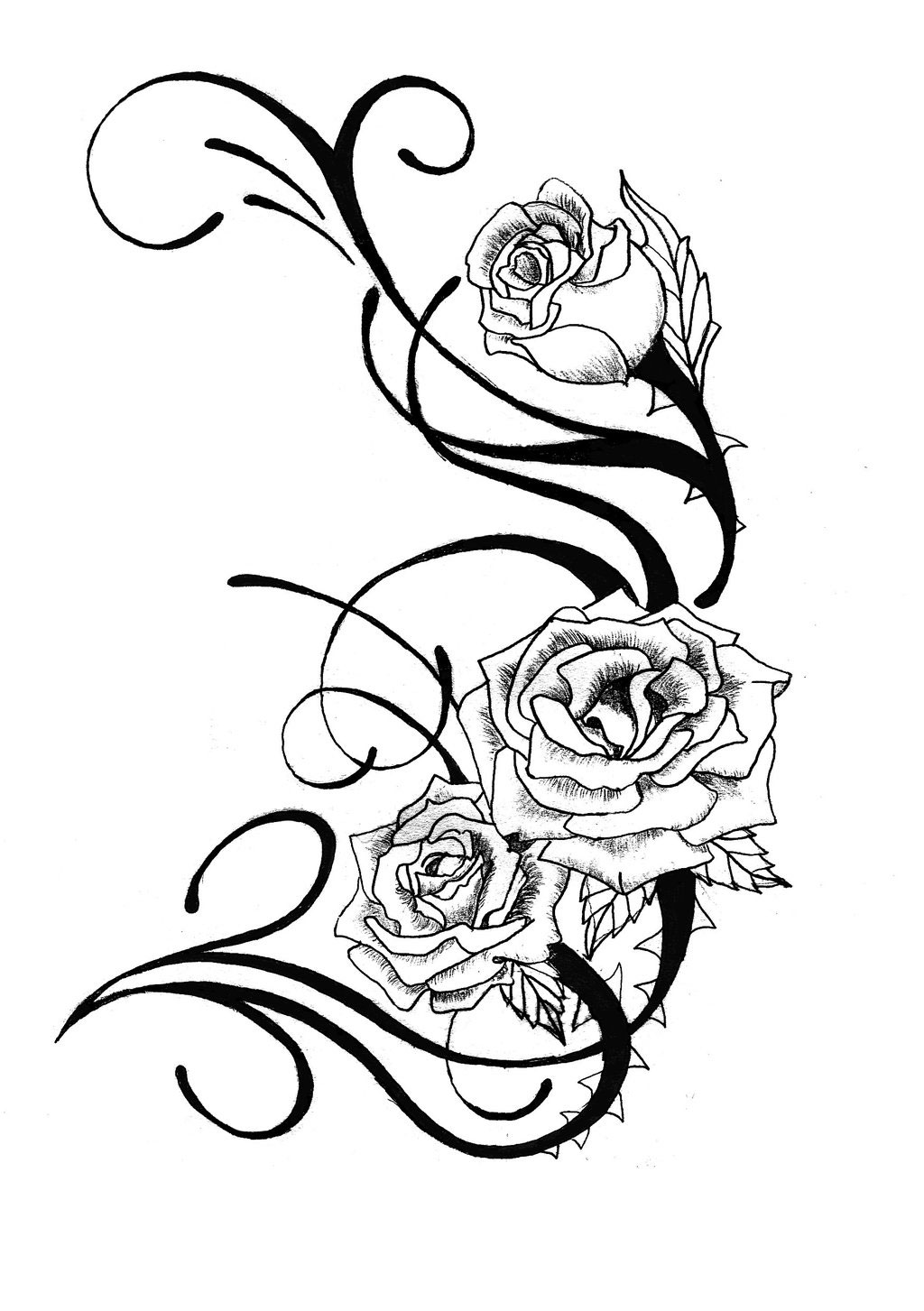 1024x1453 Rose Tattoo Designs Free Cool Tattoos