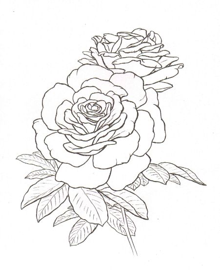451x552 Roses Tattoo