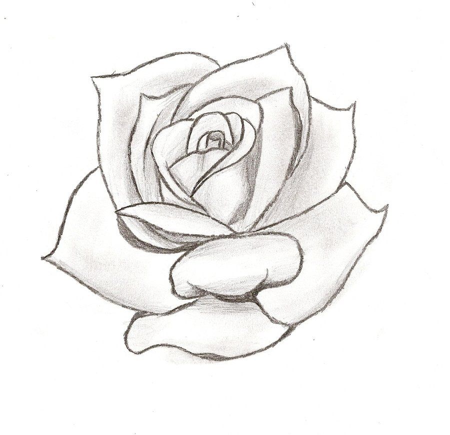 900x869 Rose Tattoo Stencil Designs Tattoos Tattoo