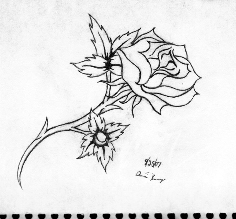 800x743 Line Art Of Rose Tattoo By Katayoku