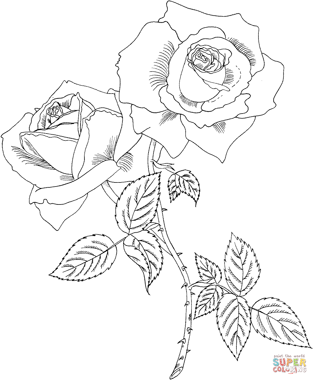 1079x1312 Rose With Thorns Coloring Page Free Printable Coloring Pages