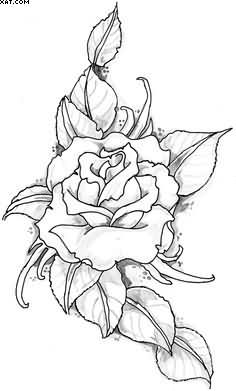 Rose Vine Drawing