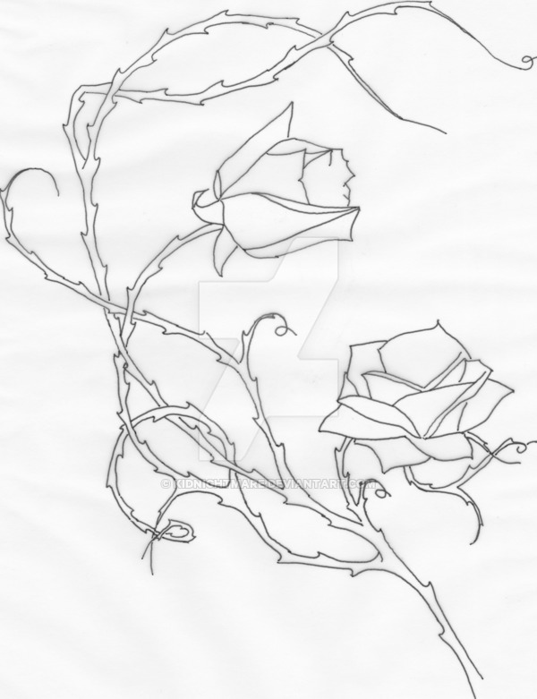 600x781 Rose Vine By Kidnightmare