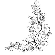 236x236 Rose Vine Drawing