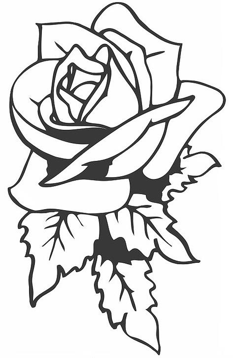 473x726 Collection Of Fresh Black Outline Rose Tattoo Design