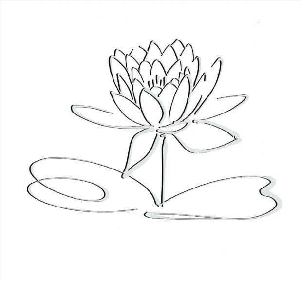 618x579 Design Leaves And Drawings Simple Rose Drawing Outline Of Vines