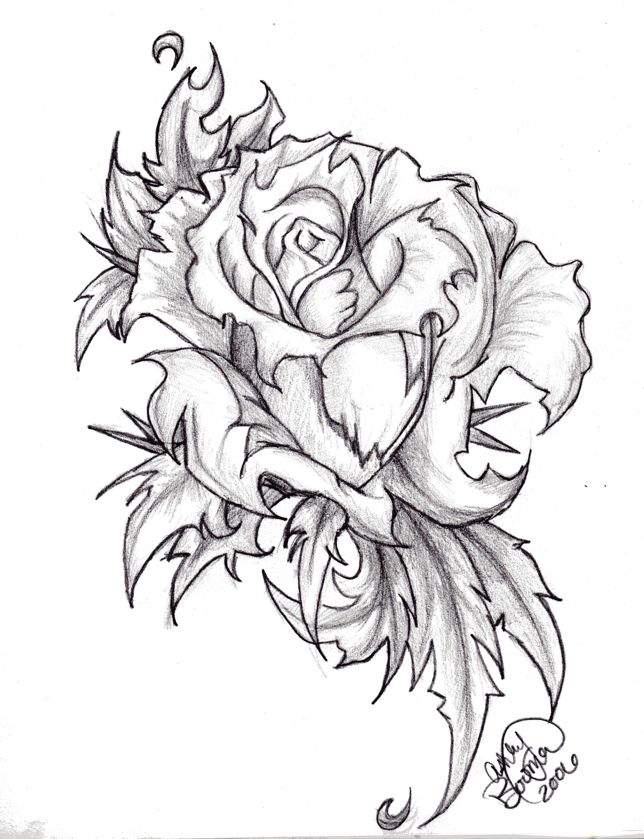 2065x2690 Heart And Rose Drawings In Pencil Group