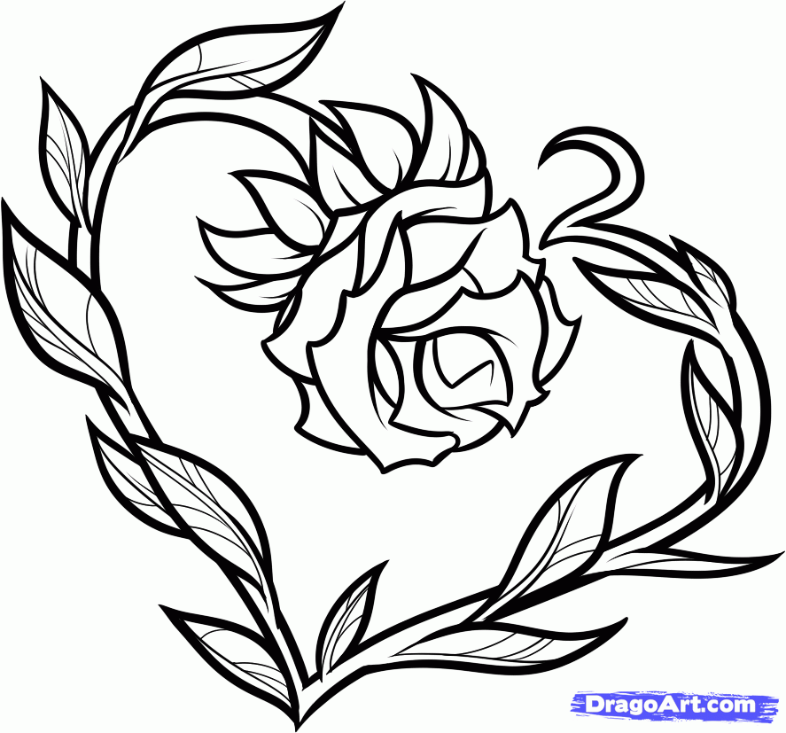 887x827 Drawn Heart Rose