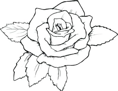 Rose With Ribbon Drawing at GetDrawings | Free download