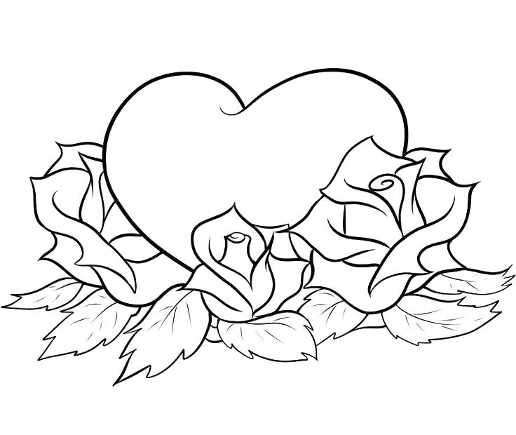 736x620 Good Roses Coloring Pages New Hearts And Tied With Ribbon Page