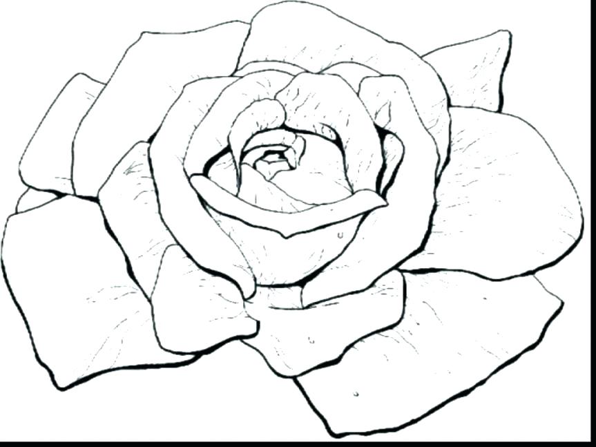 863x647 New Coloring Pages Rose Print Ribbon Color Garden