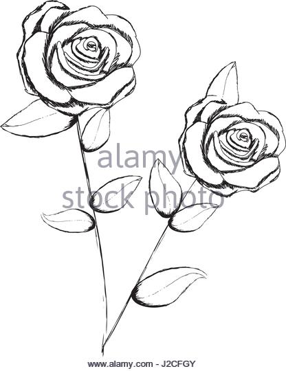 Rose With Stem Drawing at GetDrawings | Free download