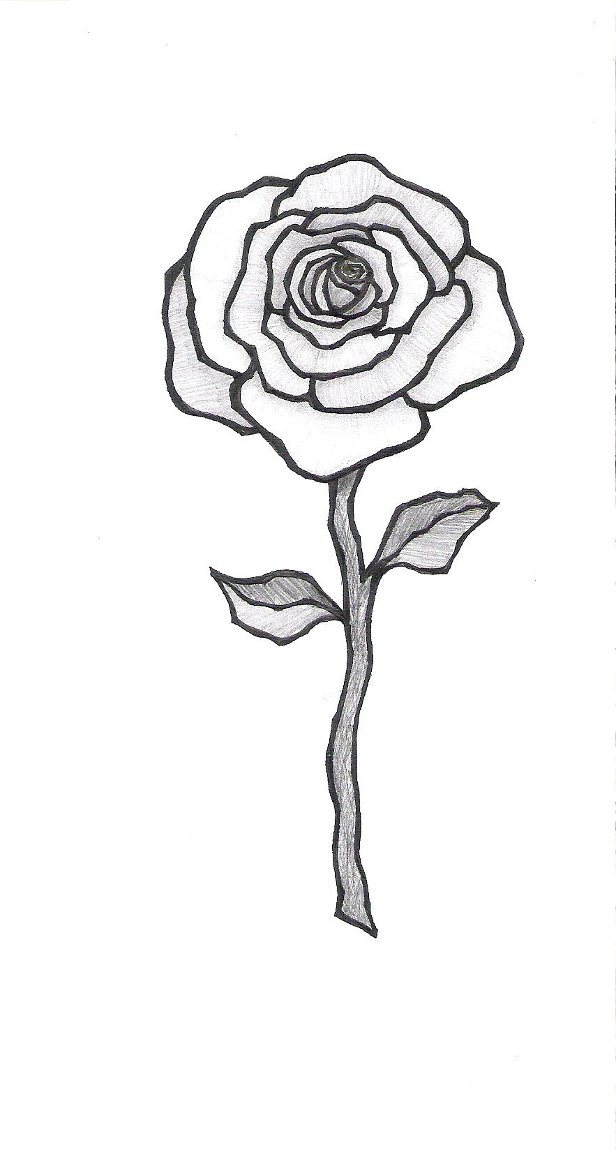 Rose With Stem Drawing at GetDrawings | Free download