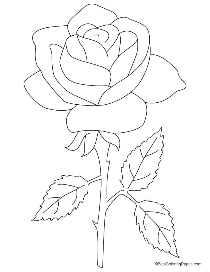 738x954 Coloring Pages Of Roses And Hearts Rose Heart Color Coloring Page